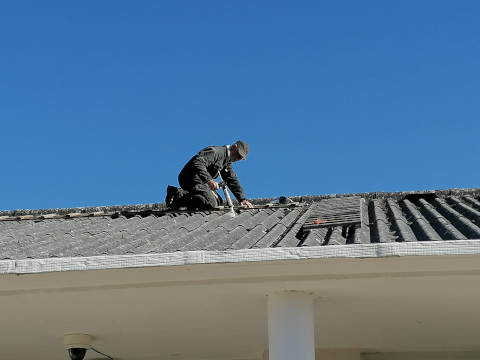 Bruno in action on the roof