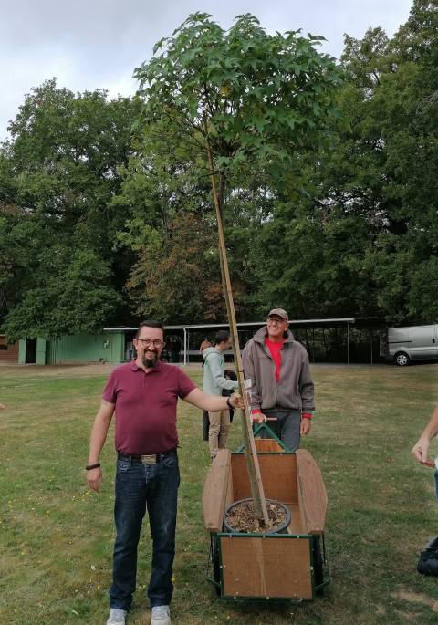 L’arrivée de l’arbre en provenance de sa nourrice