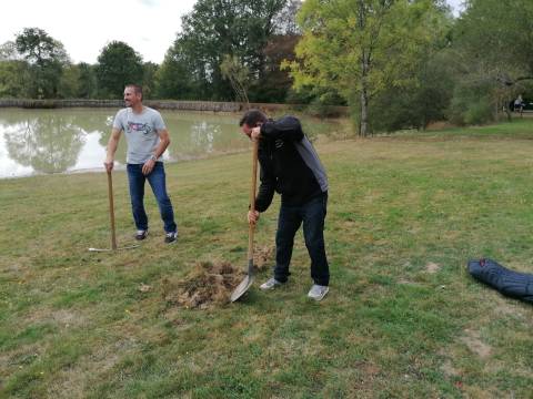 Preparing the field